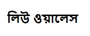 লিউ ওয়ালেস